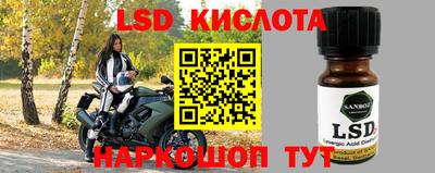 гидра Краснокаменск